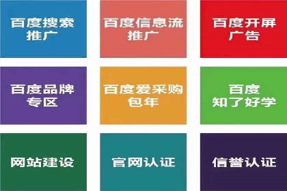 搜索引擎营销（SEM）托管服务在某企业的成功应用